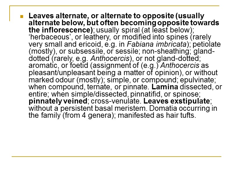 Leaves alternate, or alternate to opposite (usually alternate below, but often becoming opposite towards